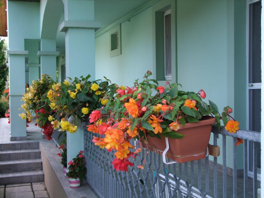 Bogács Rajna Apartmanhaz מראה חיצוני תמונה