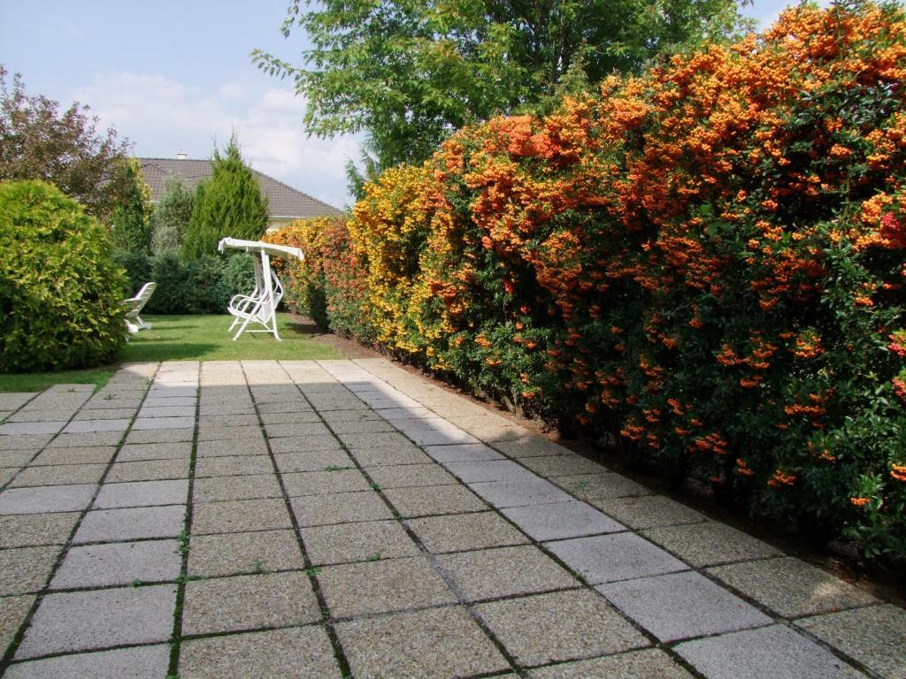 Bogács Rajna Apartmanhaz מראה חיצוני תמונה