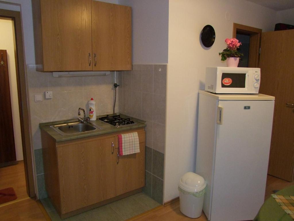 Bogács Rajna Apartmanhaz חדר תמונה